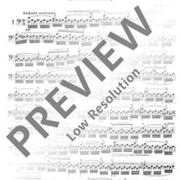 New Collection of Studies