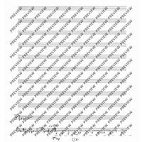 Collected Studies for Player Piano