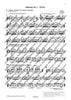 Orchestra Studies for Flute