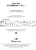 Symphony No. 1, Movement 4  (Theme)