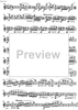 Impromptu No.25 Op.84 - Flute