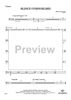 Silence Overwhelmed - Timpani