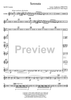 Serenata - Bb Cornet 3