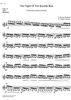 The Flight of the Bumble-Bee from "The Tale of Tsar Sultan" - Solo Marimba