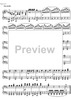Dorfschwalben aus Österreich Op.164 - Piano 2