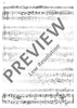 Two Sonatas in D minor