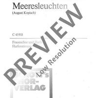 Meeresleuchten - Harp