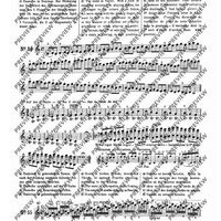 100 Technical Paraphrases on Kreutzer-Etudes