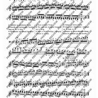 100 Technical Paraphrases on Kreutzer-Etudes