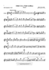 136th U.S.A. Field Artillery  (March) - Alto Saxophone 1