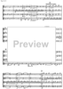 Divertimento preistorico - Score