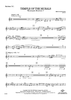 Temple of the Murals - Baritone Horn TC