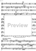 Il tamburo magico - The magical tambourin [set of parts] - Flute