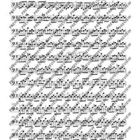 24 Caprices in all keys