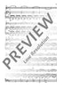 Concerto B Minor