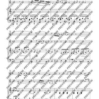 The Arrangements C-Flute(s) with Alto Flute