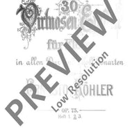 30 Virtuoso Etudes in all major and minor keys