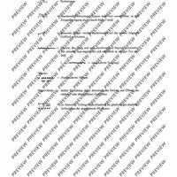 Fantasias and Scherzi