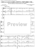 Trios and Quartets for Double Basses, Volume II