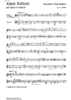 Adam Solitudo Op. 9