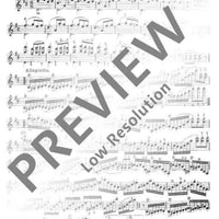 Caprice No. 20 B Minor