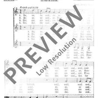 Es, es, es und es / Rosa mystica - Choral Score