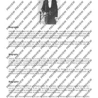 The Flutist's Progress