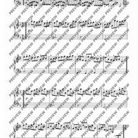 Passacaglia G minor / Chaconne D minor