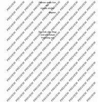 De temporum fine comoedia - Piano Reduction