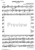 Badner Park Polka Op.65 - Violin 1