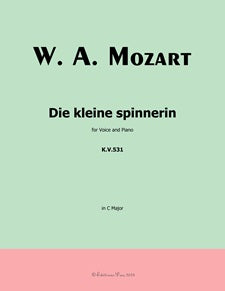Die kleine spinnerin
