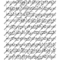 Introduction and Scherzino