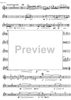 Concertante - Solo Bassoon