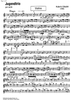 Jugendtrio - Violin