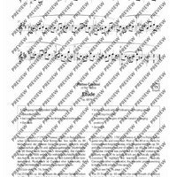 100 Classical and Romantical Études