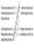 The Bewitched - Full Score