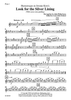 Humoresque on Jerome Kern's Look for the Silver Lining (With some extra padding) - Flute 1
