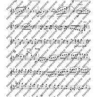 Dance of the Dragonflies