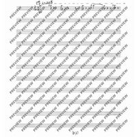 Collected Studies for Player Piano