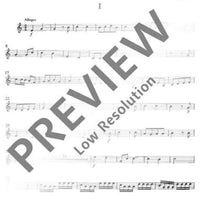 Concerto No. 2 C major - Violin II