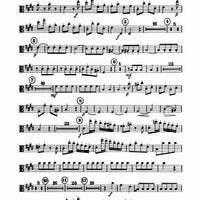 Concerto E Major - Viola