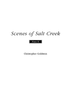 Scenes of Salt Creek - Piano 2