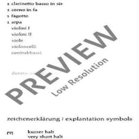 Il Vitalino raddoppiato - Violin