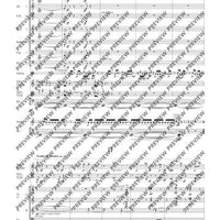 Double Concerto - Full Score