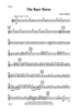 The Race Horse - Flute 2
