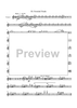 Circuite Suicus - Trumpet 1