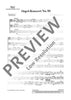 Organ Concerto No. 10 D Minor - Bassi/bassoon
