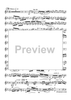 The Yellow Rose of Texas Variations - Solo Trumpet