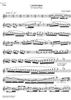 Landscape - Flute