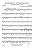 Wedding Day At Troldhaugen, Op. 65, No. 6 for Band - Bassoon 2